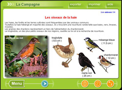 2 - Des fiches richement illustr�es